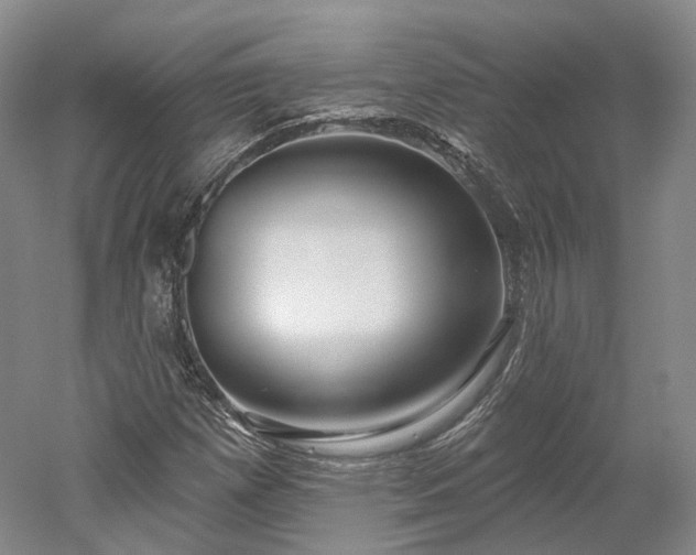 X0000052931257200507151607