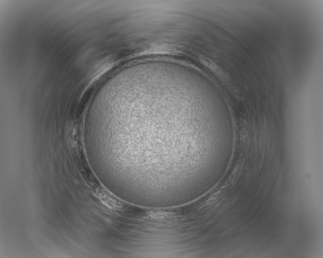 X0000052931258200507151607