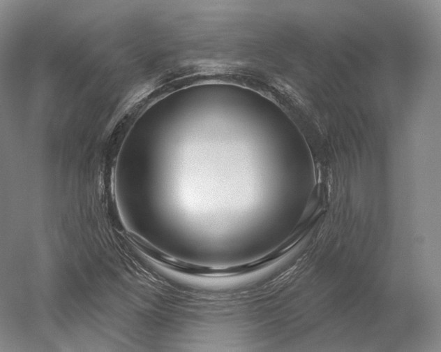 X0000052931261200507151607