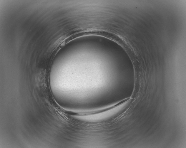 X0000052931265200507151607
