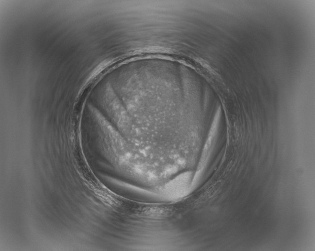 X0000052931266200507151607