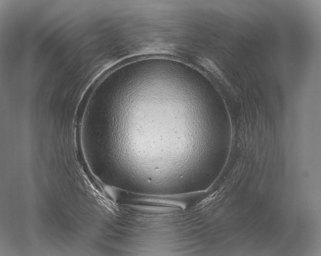 X0000052931268200507151607