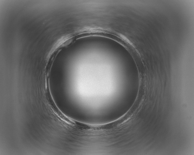 X0000052931269200507151607