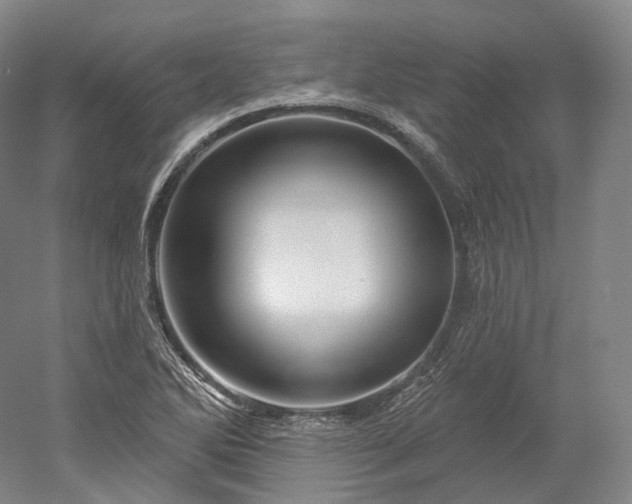 X0000052931270200507151607