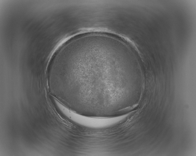 X0000052931271200507151607