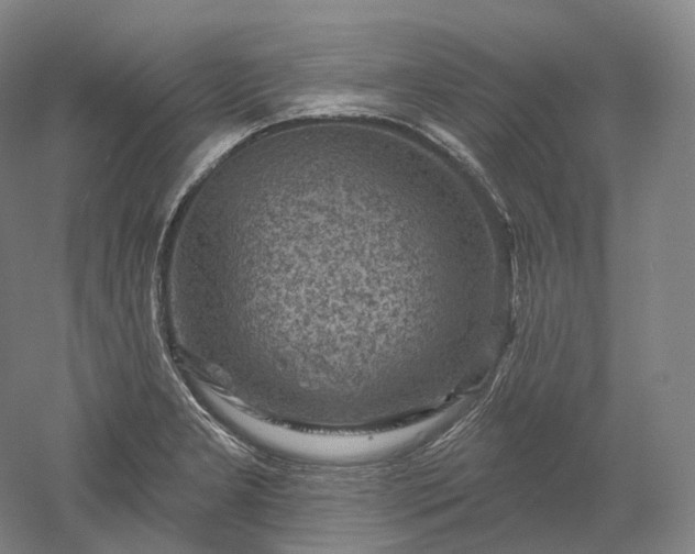 X0000052931277200507151607