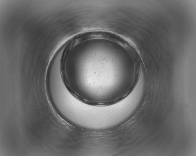 X0000052931279200507151607