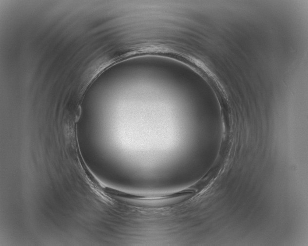 X0000052931281200507151607