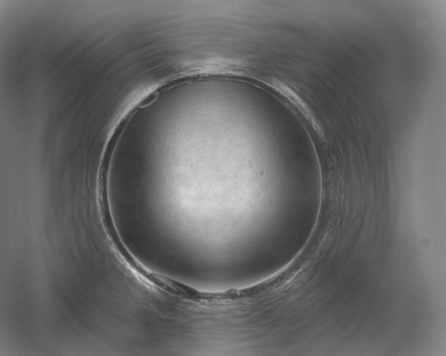 X0000052931285200507151607