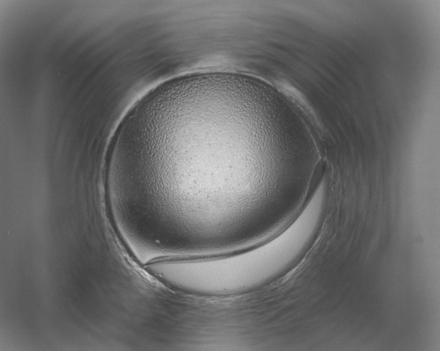 X0000052931288200507151607