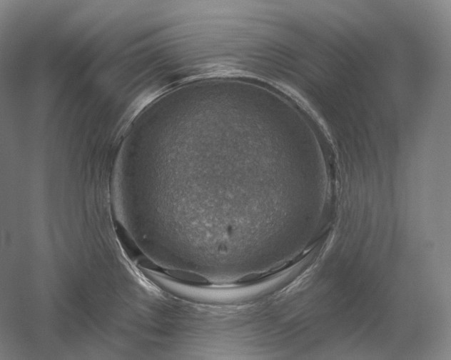 X0000052931289200507151607