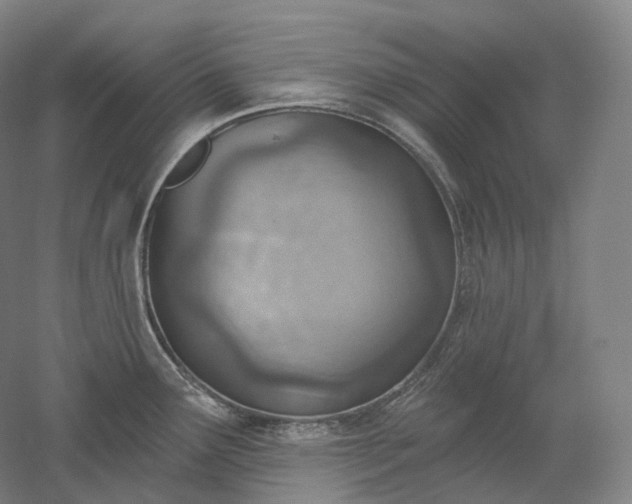 X0000052931291200507151607