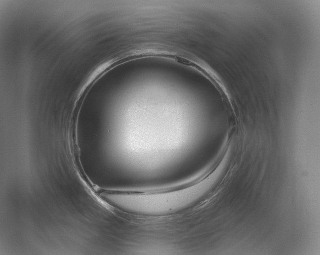 X0000052931293200507151607