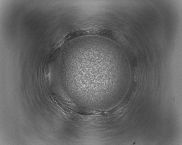 X0000052931298200507151606