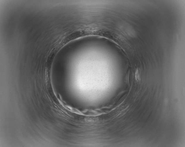 X0000052931299200507151606