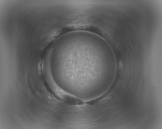 X0000052931300200507151606