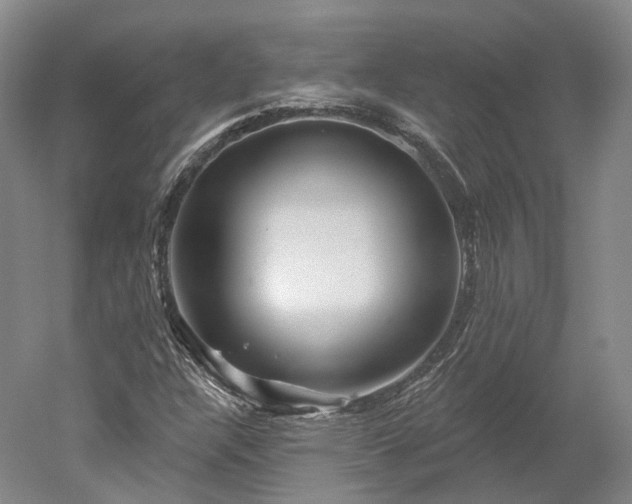 X0000052931304200507151606