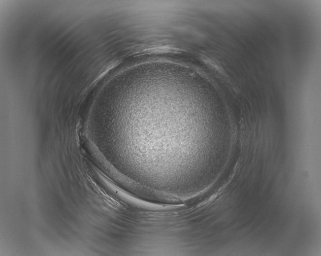 X0000052931305200507151606