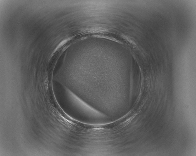 X0000052931306200507151606