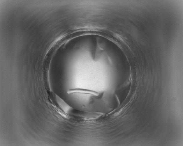 X0000052931307200507151606