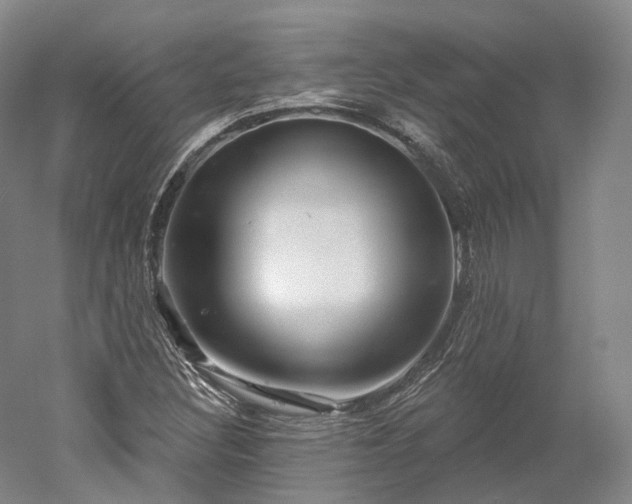 X0000052931308200507151606