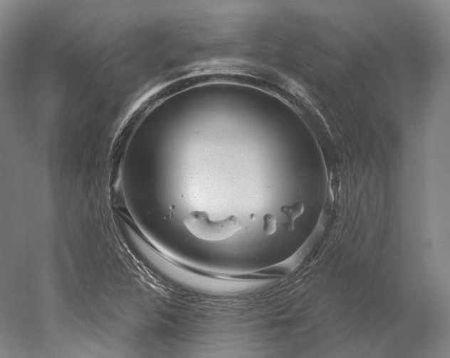 X0000052931312200507151606