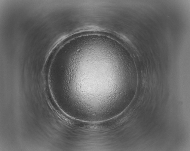 X0000052931318200507151606