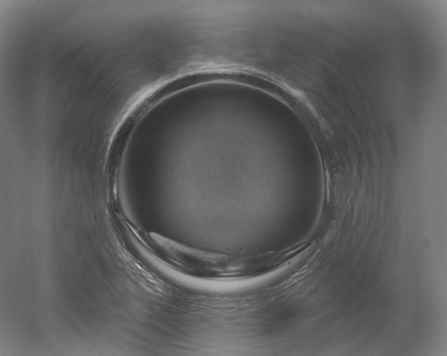 X0000052931319200507151606