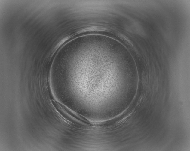 X0000052931321200507151606