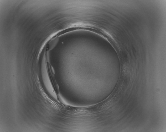 X0000052931323200507151606