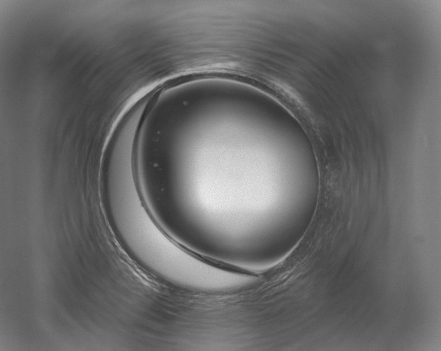 X0000052931324200507151606