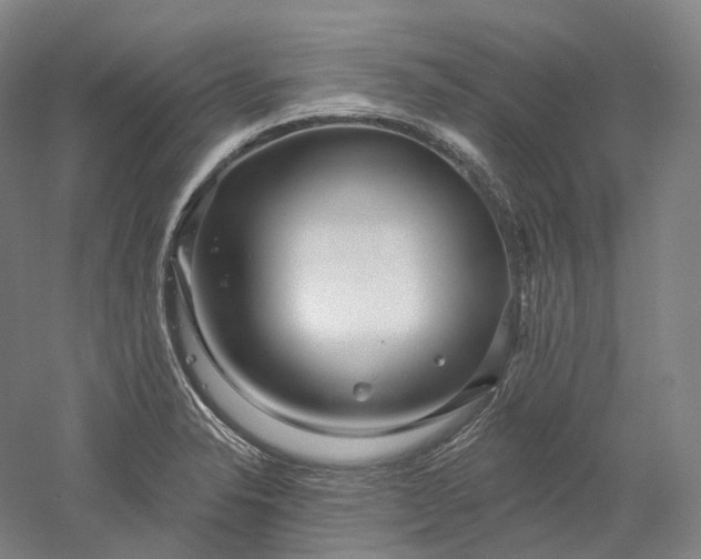 X0000052931326200507151606
