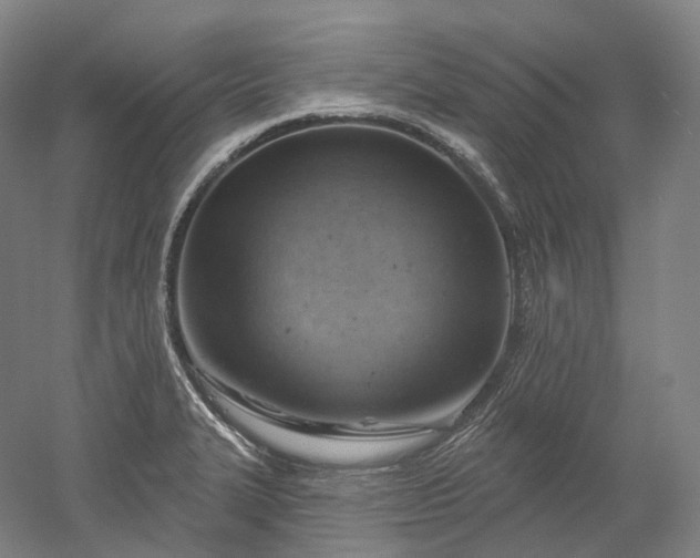 X0000052931327200507151606