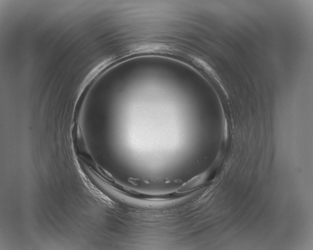 X0000052931330200507151606