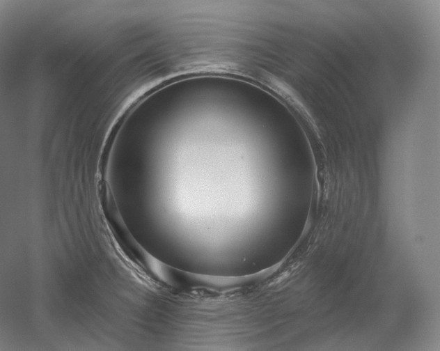 X0000052931332200507151606