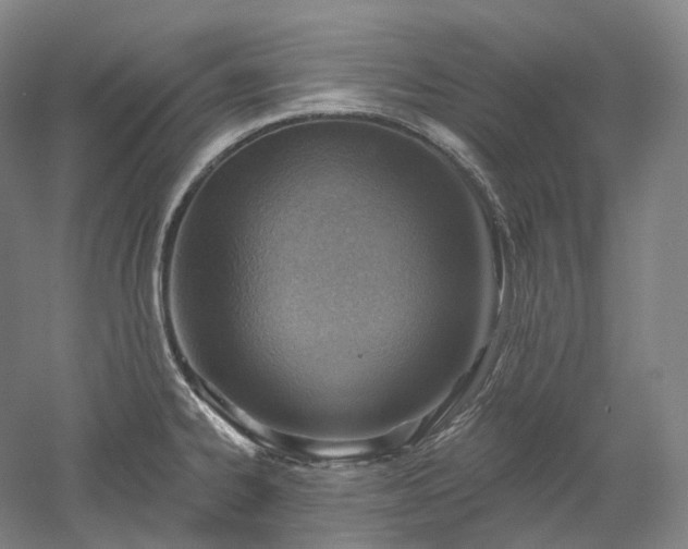 X0000052931334200507151607