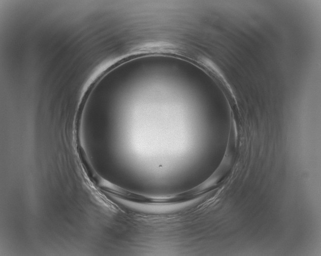 X0000052931336200507151607