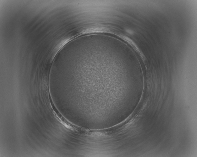X0000052931337200507151607
