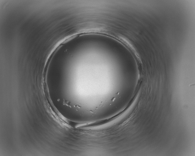 X0000052931340200507151607