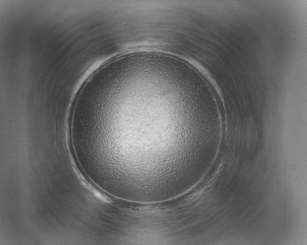 X0000052931341200507151607