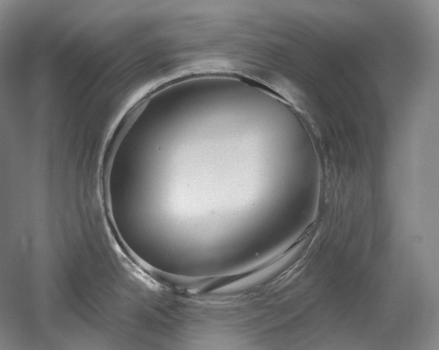 X0000052931342200507151607