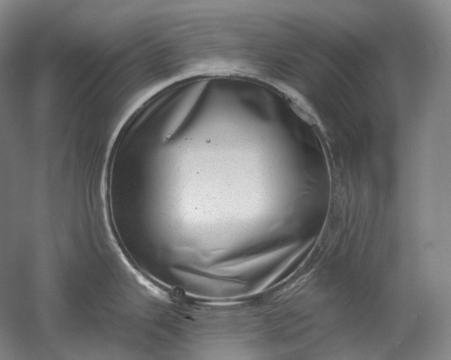 X0000052931343200507151607