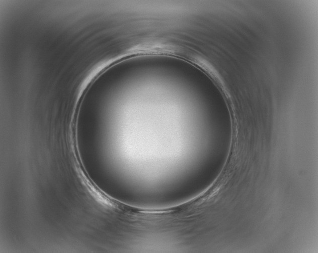 X0000052931344200507151607