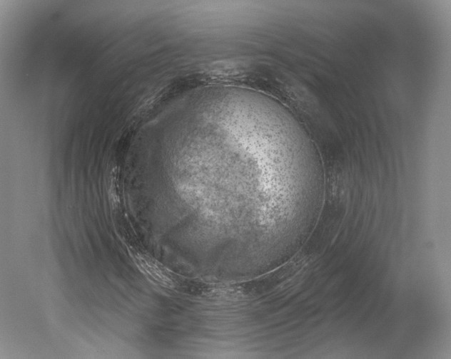X0000052931346200507151606