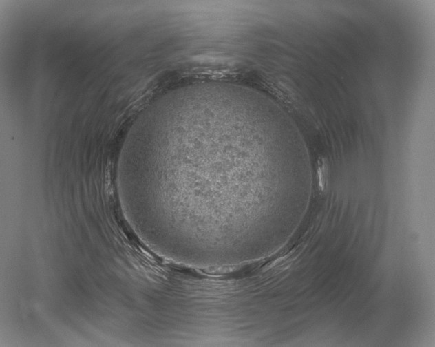 X0000052931347200507151606