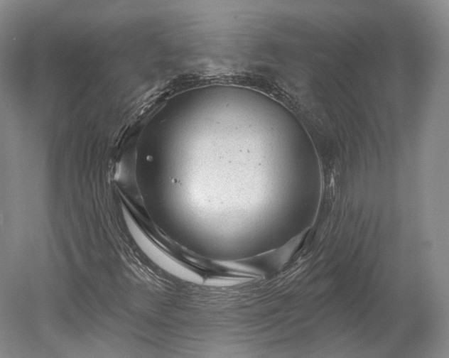 X0000052931348200507151606
