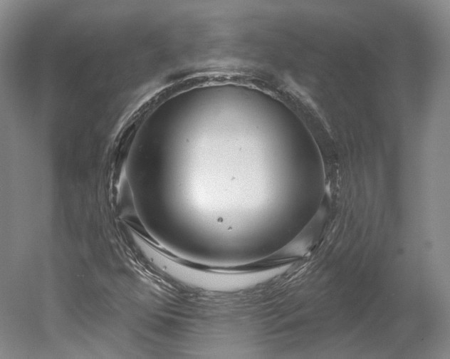 X0000052931352200507151606