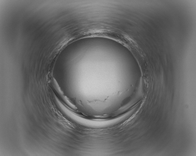 X0000052931353200507151606