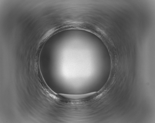 X0000052931354200507151606