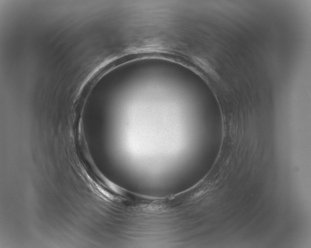 X0000052931356200507151606